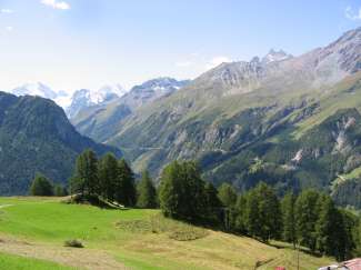 IMG_4437.JPG